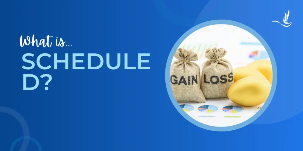 What is Schedule D?